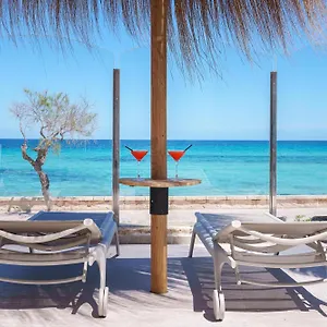 https://hotel-spa-ferrer-concord-can-picafort.allmallorcahotels.com